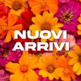 Nuovi Arrivi